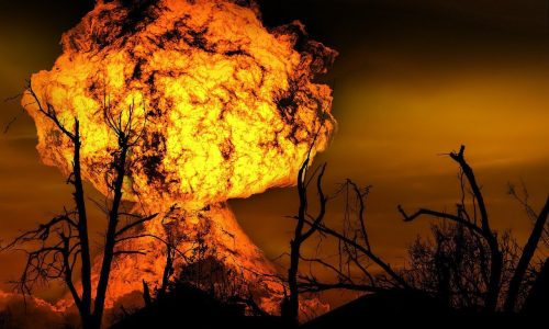explosion, fire, forest, nature, forest fire, trees, woods, burned, mushroom cloud, destruction, natural disaster, devastation, disaster, explosion, explosion, explosion, fire, fire, fire, fire, fire, forest fire